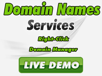 Economical domain name registration service providers